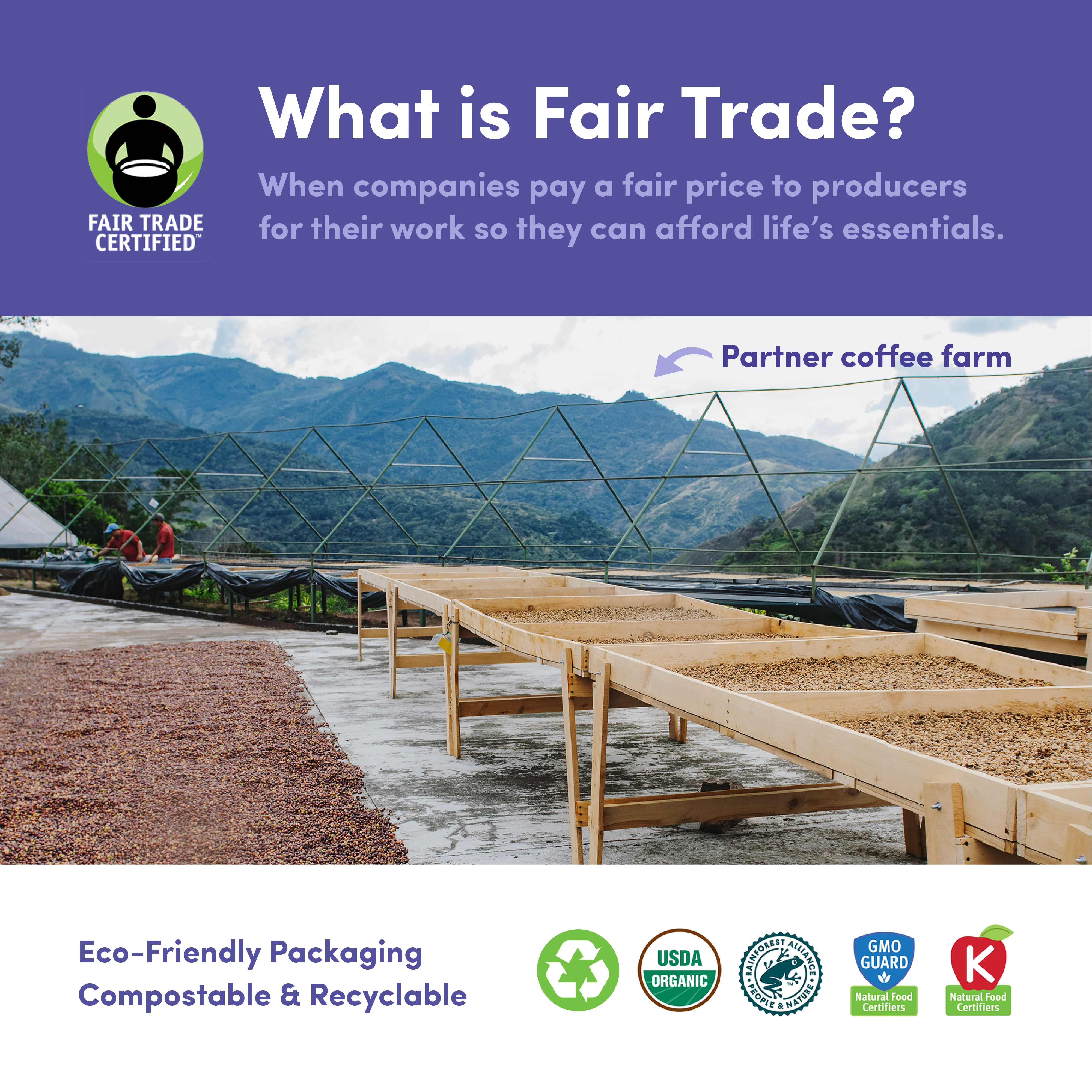 Downtown Blend, Organic & Fair Trade - Image 4